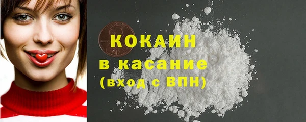 гидра Арсеньев