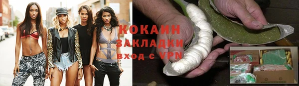 гидра Арсеньев