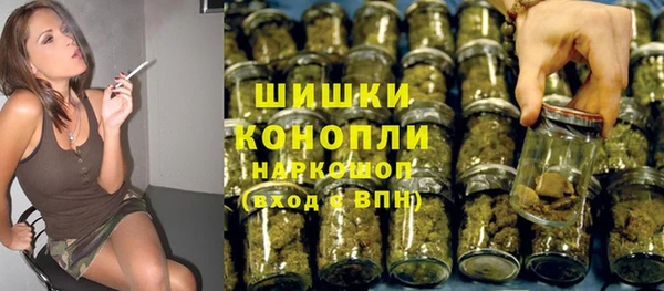 гидра Арсеньев